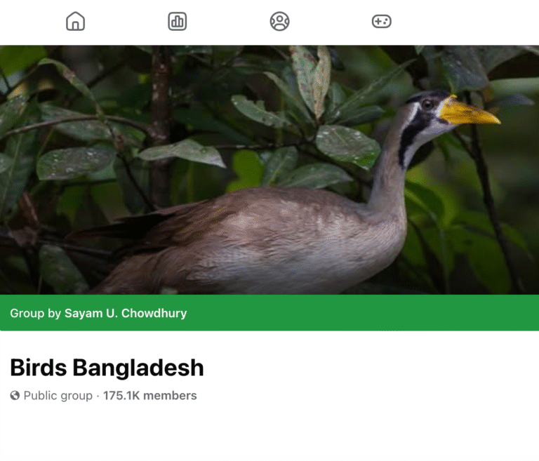 Screenshot 2025-11-11 at 2.38.39 am