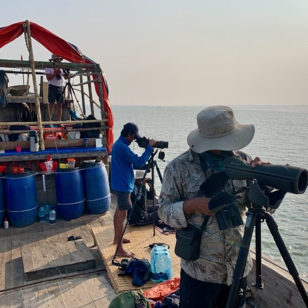 Boat based surveys at Meghna Estuary