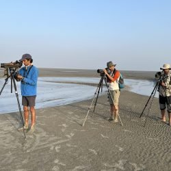 Waterbird survey | Meghna Estuary | 2024