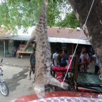 Abdur Village, Mirpur, Kushtia - 01 May 2017