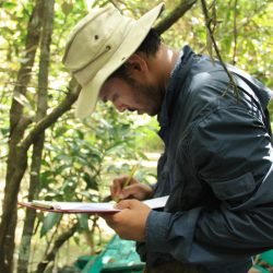 Masked Finfoot fieldwork in the Sundarbans of Bangladesh | 2012