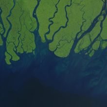 West coast of Bangladesh