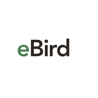 Screenshot 2026-02-27 at 2.21.14 pm