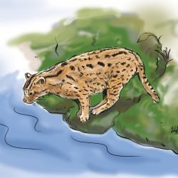 fishing cat painting